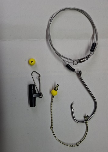 Conger tope huss 150lb - 4,