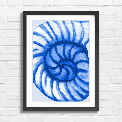 Blue watercolor nautilus shell - watercolor,