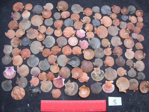 Job lot 100 - lot, of