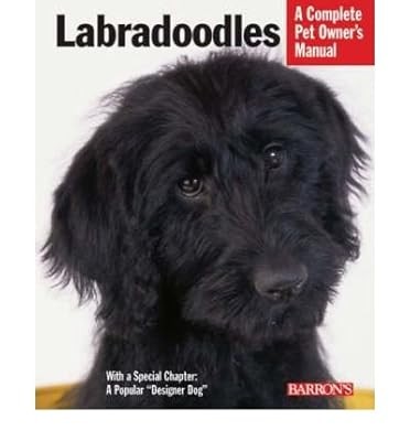 Labradoodles bonham - labradoodles,,