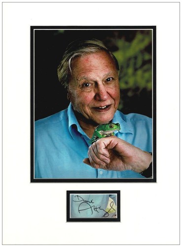 David attenborough autograph - david,