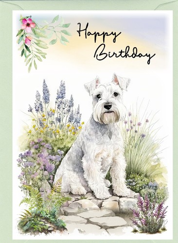 Miniature schnauzer dog - miniature,