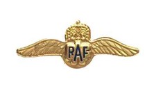 Small RAF Wings Military Hard High Quality Enamel Lapel Pin Badge