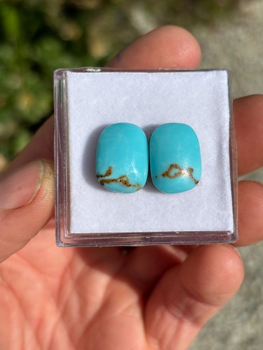 Sleeping beauty turquoise blue - turquoise,