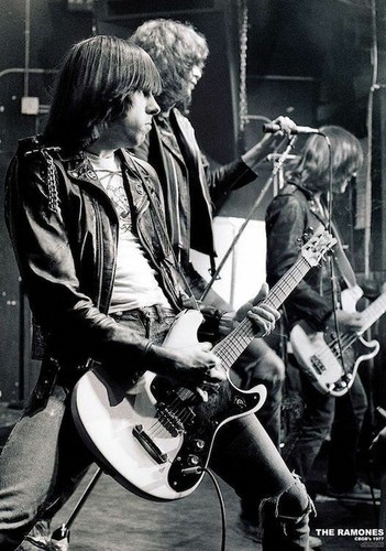 661497 the ramones - the,