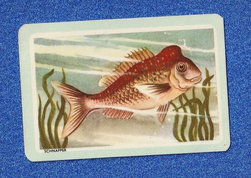 Vintage woolworths fish swap - vintage,