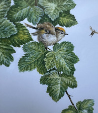 Warwick Higgs Original