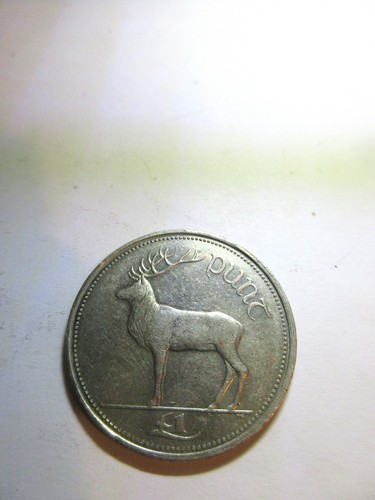 1998 irish punt coin nice - .,