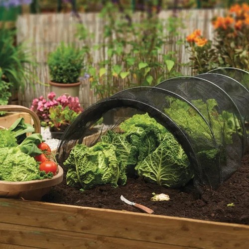 Grow net tunnel - -,