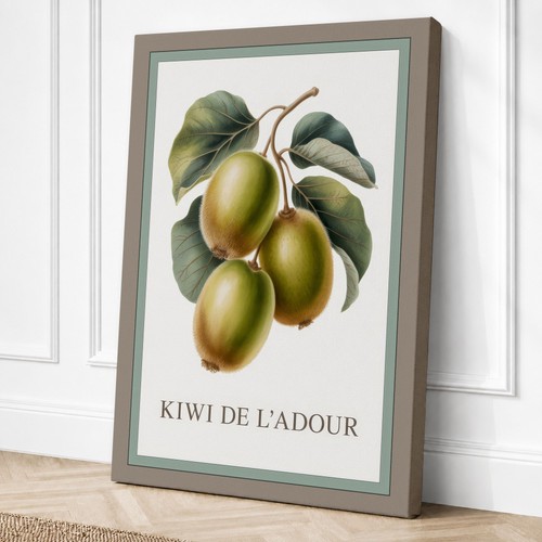 Kiwi adour botanical - kiwi, l'adour