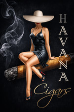 Havana cigars wall art metal