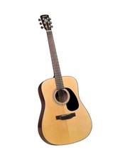 Bristol by Blueridge 6 String