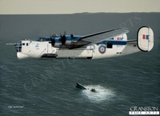 120 sqd aviation art Post card