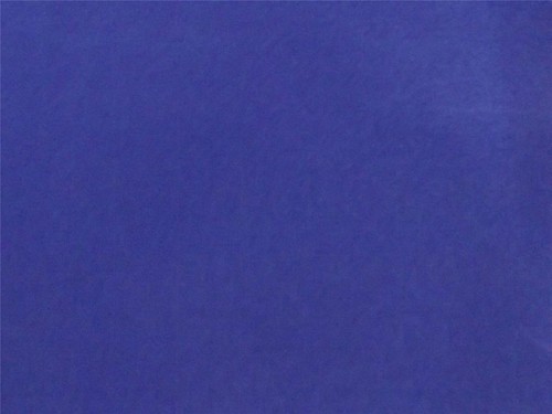 Royal blue flocked - royal, velvet