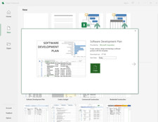 MS Project Professional 2024 +