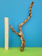 Cork bark branch 47cm snake - cork,