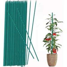 50 X LONG 90CM GREEN PLANT STICKS BAMBOO GARDEN SUPPORTS TRAINING GROWING FLOWER