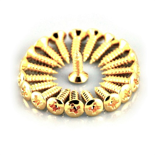 Pickguard scratchplate screws - scratchplate,