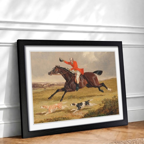 Fox hunting vol - fox,