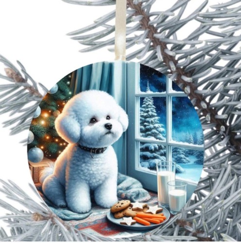 Bichon frise dog hanging - bichon,