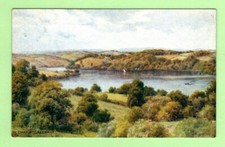881011  Postcard  DITTISHAM