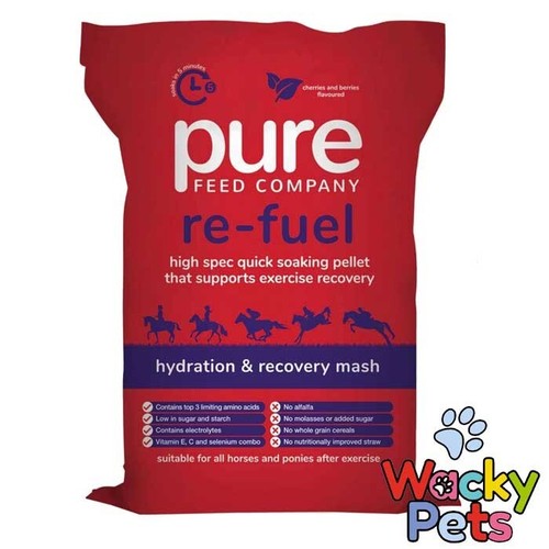 Horse feed food - horse,
