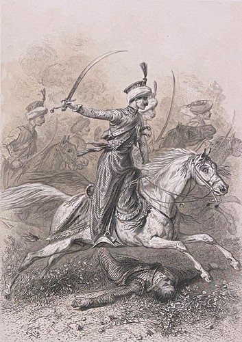 Mamelukes the imperial - of,