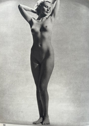 Nude study plate published - nude,
