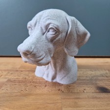 English Pointer Bust