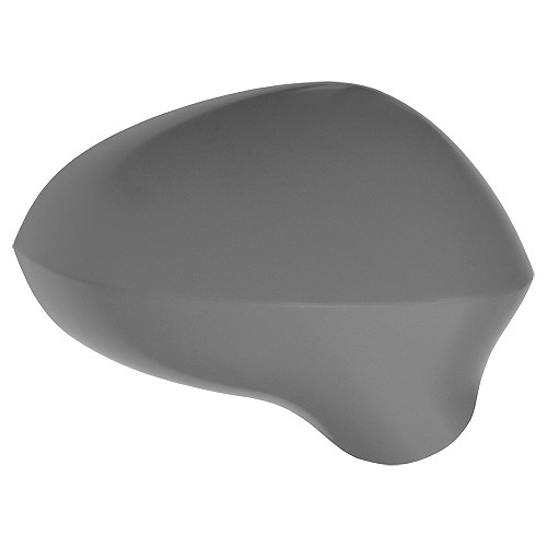 Fits seat leon door - fits, mirror