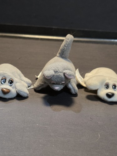 Vintage 1980s pound - pound, puppies