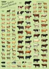 Farmers Weekly Magazine Guide to European Livestock Tractor Poster Brochure (A3)