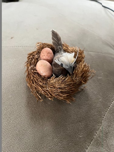 Realistic nest with - bird, and