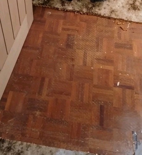Reclaimed parquet floor - reclaimed,