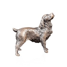 Richard Cooper Limited Edition