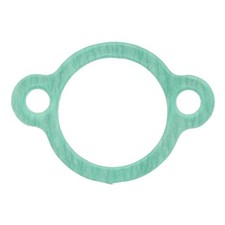 1X CHAIN TENSIONER GASKET