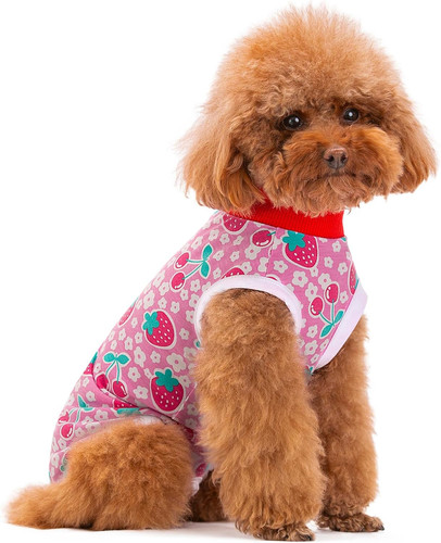 Dog recovery suit - dog,