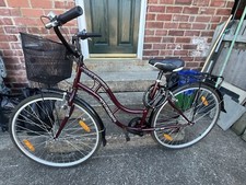 Tiger TOWN & COUNTRY 18 inches