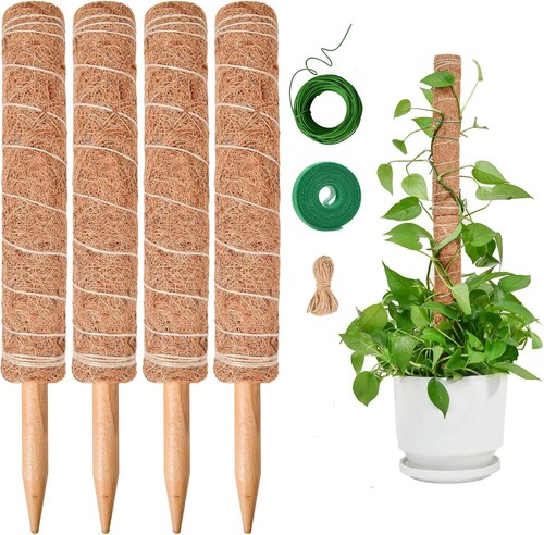 Moss pole extendable - extendable,