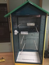 Indoor bird avery great - bird, avery-
