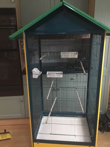 Indoor bird avery great - indoor,