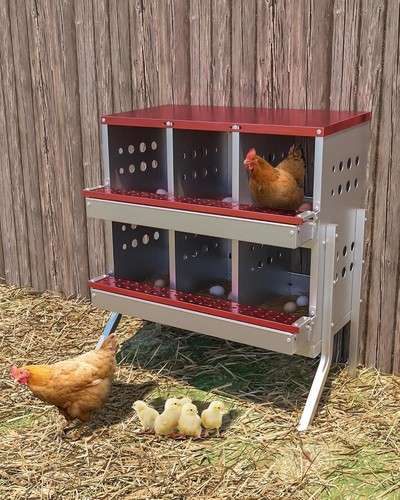 Nesting box chicken coop - chicken,