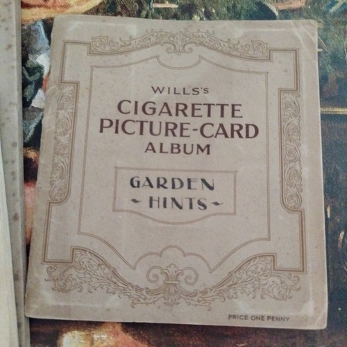 Wills cigarette picture card - wills's,