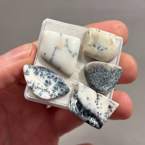 Carat dendrite opal x 5 - 48.25,