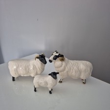 Vintage Beswick Black Faced Ram, Sheep & Lamb Figurine Set