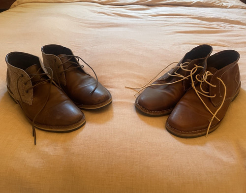 Steve madden men - men, brown/gray
