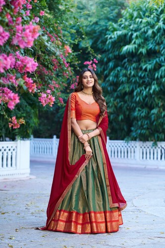 Party new lehenga indian - lehenga,