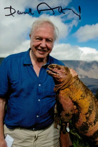 Sir david attenborough signed - attenborough,
