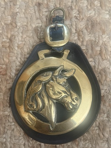 Large horse head brass - horse,