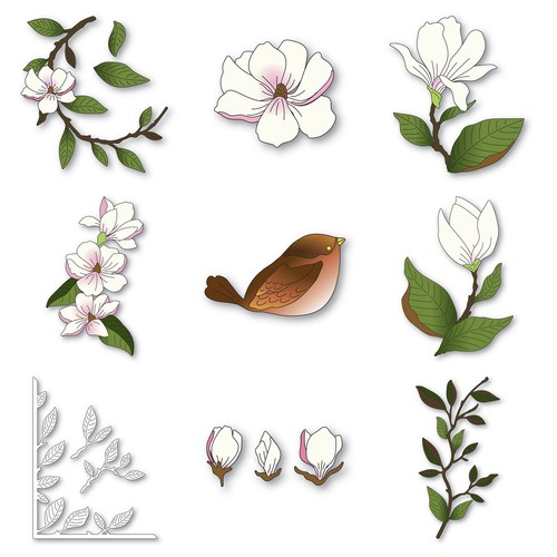 Bird magnolia leaf branch - bird,